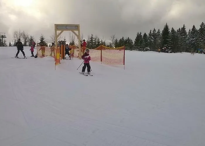 Lägenhet U Javoru *